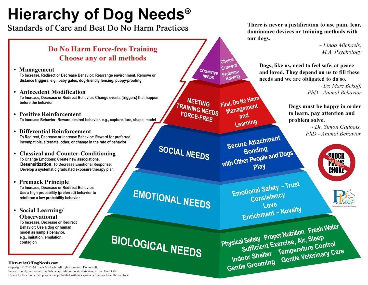 Hierarchy of Dog Needs
